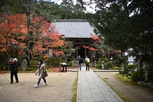 西明寺_(15).JPG