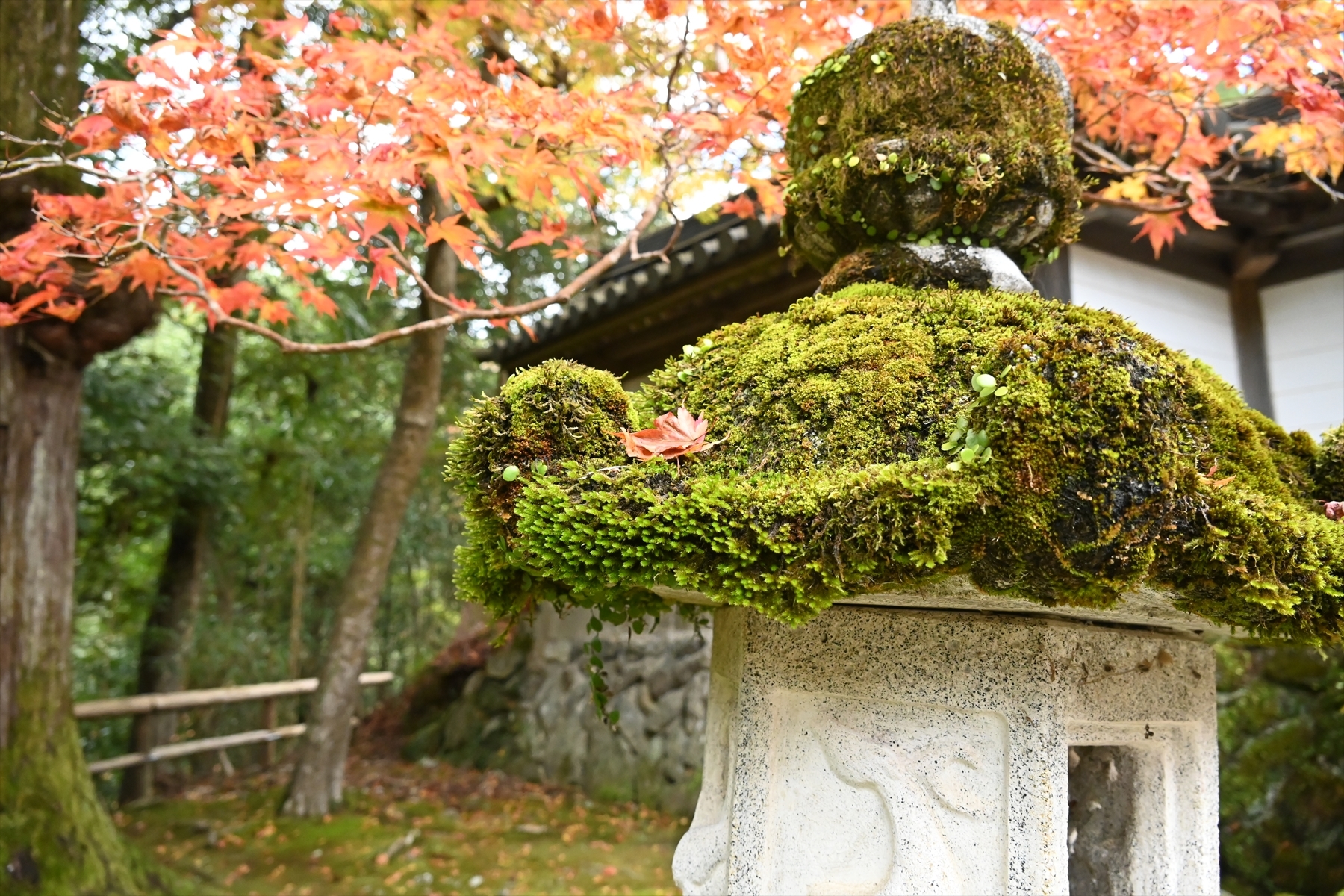 西明寺_(13).JPG