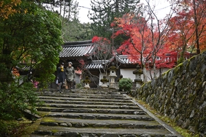 西明寺_(7).JPG