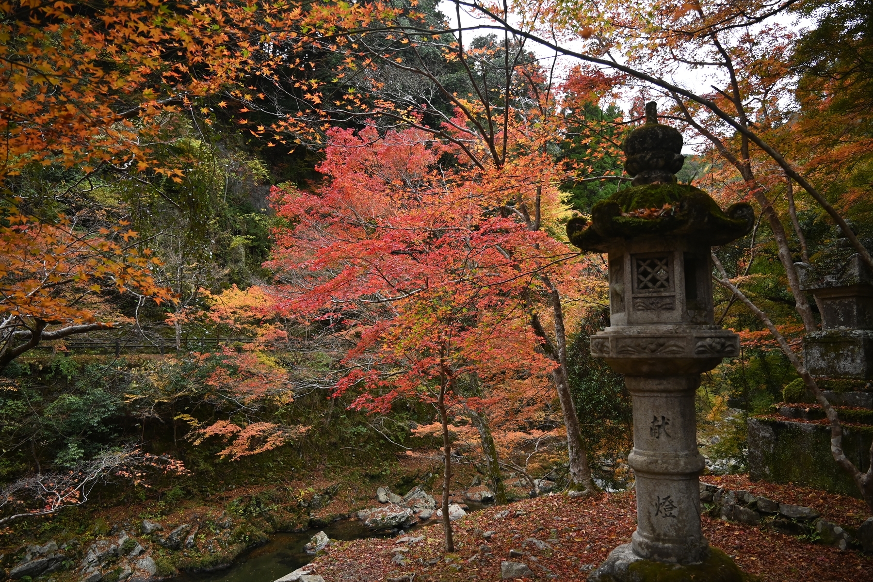 西明寺_(5).JPG