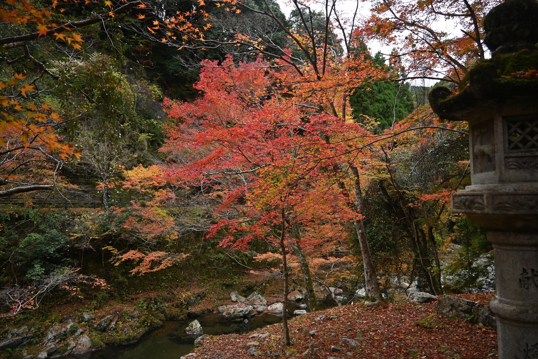 西明寺_(4).JPG