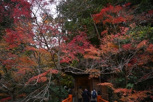 西明寺_(3).JPG