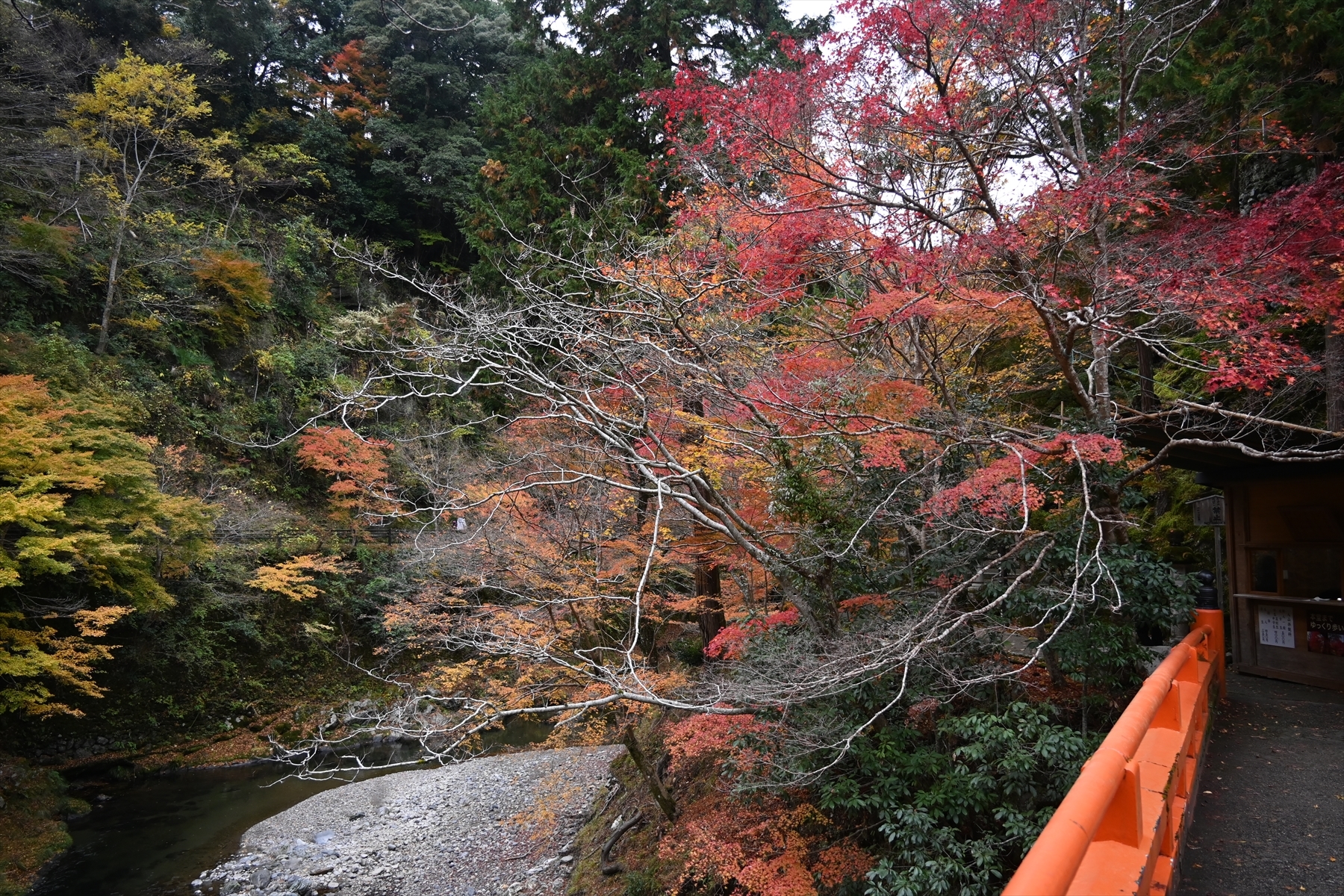 西明寺_(2).JPG