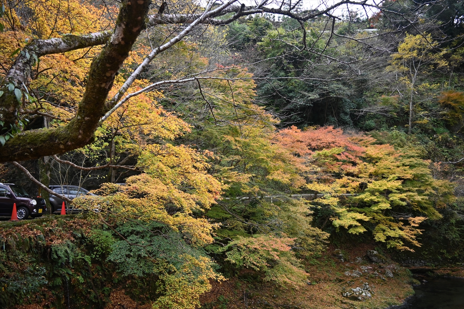 西明寺_(1).JPG