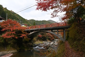 清滝川の紅葉019.JPG