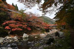 清滝川の紅葉017.JPG