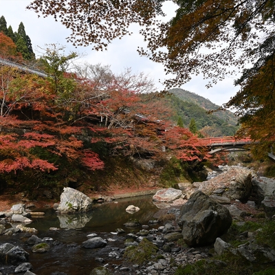 清滝川の紅葉017.JPG