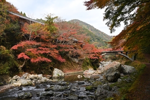 清滝川の紅葉012.JPG