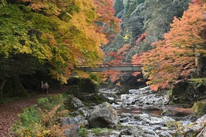 清滝川の紅葉010.JPG