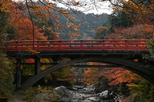 清滝川の紅葉008.JPG