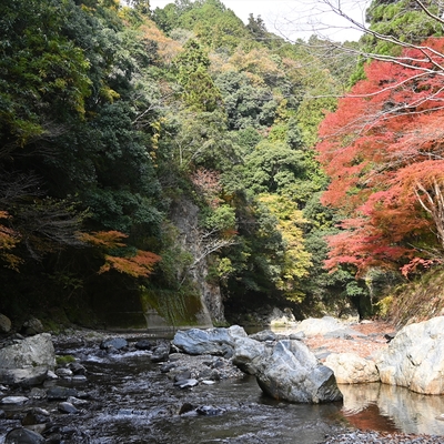 清滝川の紅葉003.JPG