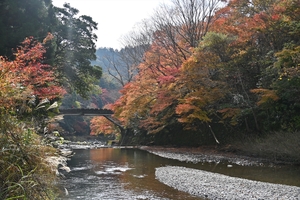 清滝川の紅葉002.JPG