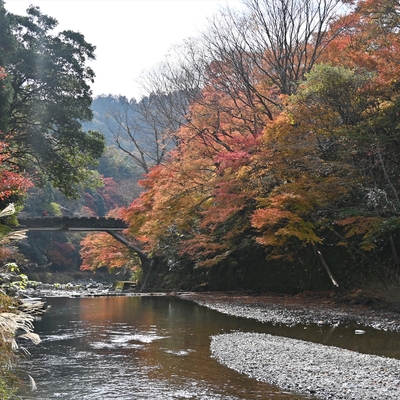 清滝川の紅葉002.JPG