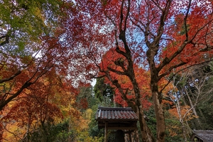 寂光院035.jpg