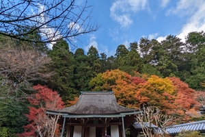 寂光院032.jpg