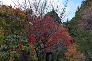 寂光院029.jpg