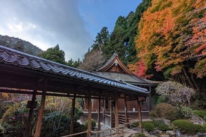 寂光院021.jpg