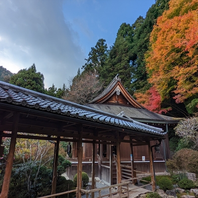 寂光院021.jpg