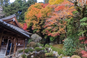 寂光院019.jpg