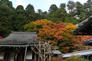 寂光院003.jpg