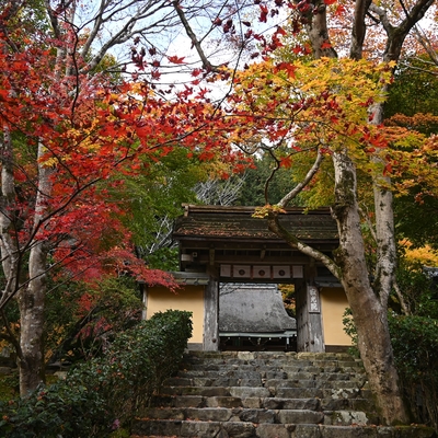 寂光院044.jpg