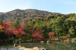 天龍寺082.JPG