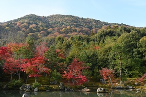 天龍寺081.JPG