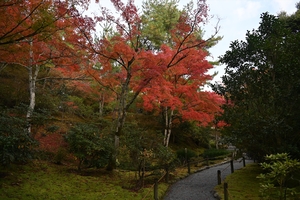 天龍寺046.JPG