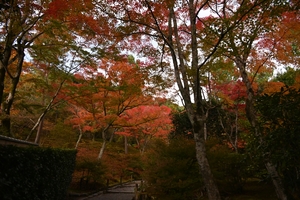 天龍寺043.JPG