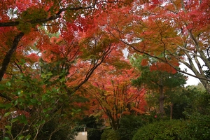 天龍寺041.JPG