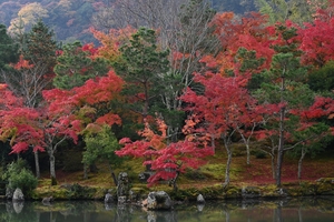 天龍寺034.JPG