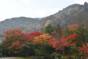 天龍寺033.JPG