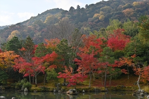 天龍寺032.JPG