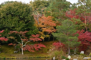 天龍寺029.JPG