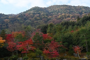 天龍寺026.JPG