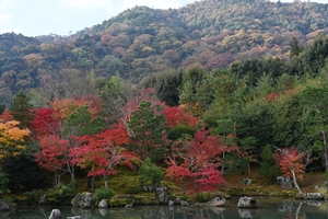 天龍寺025.JPG