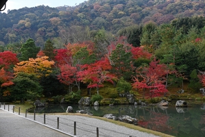 天龍寺024.JPG