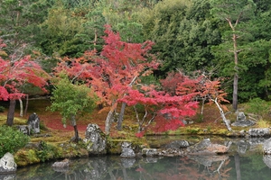 天龍寺009.jpg