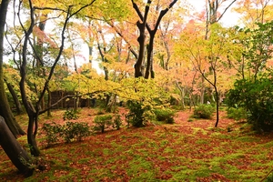 祇王寺006.jpg