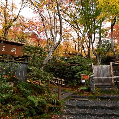 祇王寺010.jpg