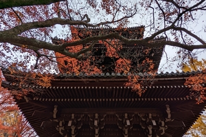 法然院047.jpg