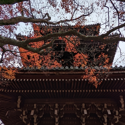 法然院047.jpg