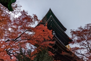 法然院045.jpg