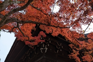 法然院040.jpg