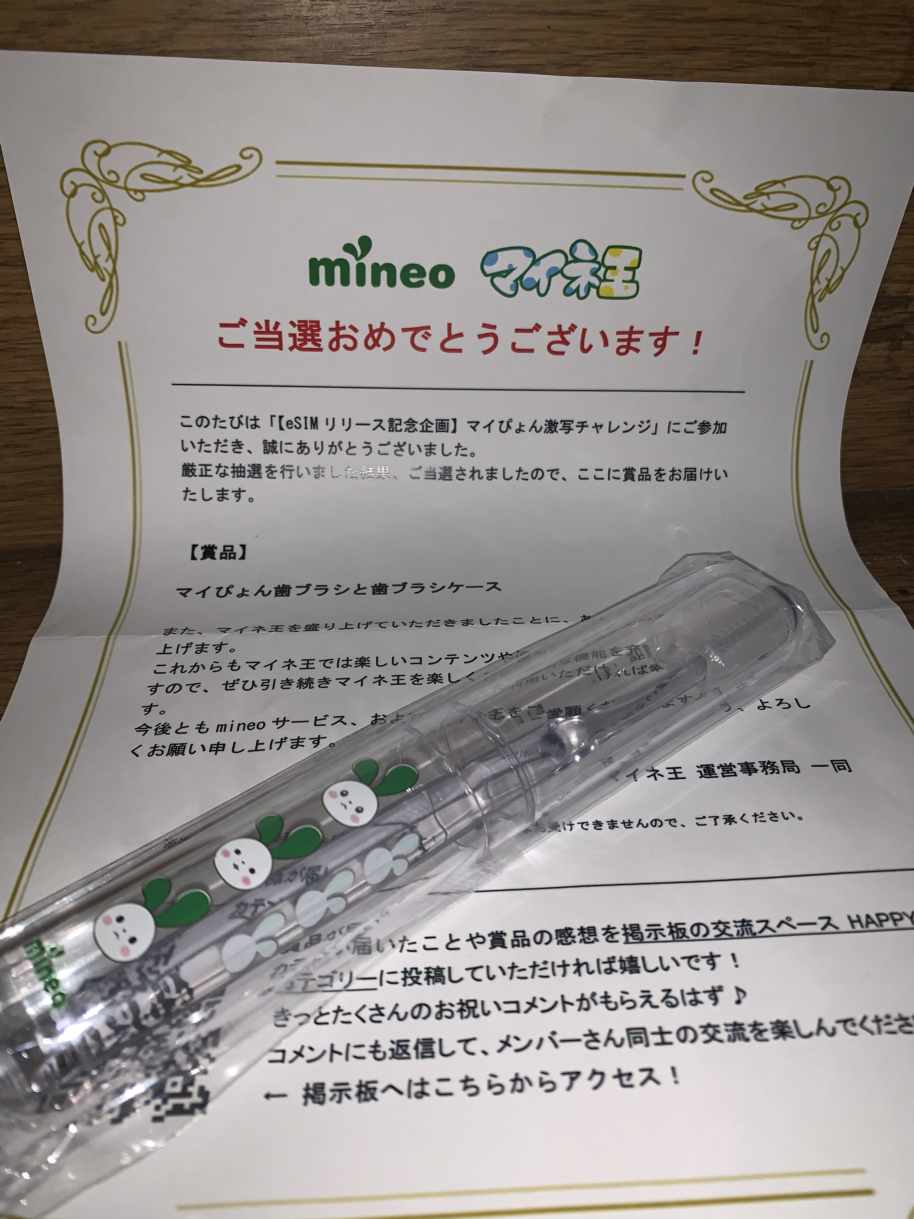 最低価格の mineoノベルティグッズ マイぴょんスリッパ tbg.qa