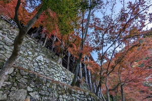 清水寺056.jpg