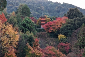 清水寺031.jpg