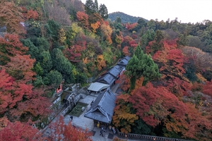 清水寺028.jpg