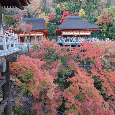 清水寺027.jpg