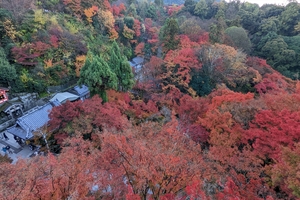 清水寺021.jpg